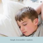 Set of 2 Down Alternative Throw Pillow Inserts