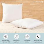 Set of 2 Down Alternative Throw Pillow Inserts
