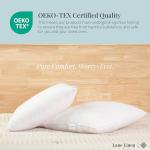 Set of 2 Down Alternative Throw Pillow Inserts