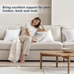 MIULEE 18x18 Inch Throw Pillow Inserts - 2 Pack