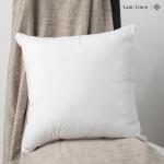Set of 2 Down Alternative Throw Pillow Inserts