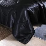 Silky Satin Queen Comforter Set with Pillow Covers