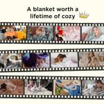 Bedsure GentleSoft Fleece Bed Blankets Queen Size Grey - Soft Lightweight Plush Fuzzy Cozy Luxury Fall Blanket Microfiber, Room Home Decor Gifts for Women and Men, 90x90 inches