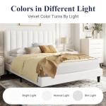 Allewie Queen Bed Frame/Velvet Upholstered Bed Frame with Vertical Channel Tufted Headboard/Strong Wooden Slats/Platform Bed Frame/Mattress Foundation/Box Spring Optional/Easy Assembly/White