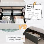 SHA CERLIN Queen Size Lift Up Storage Bed/Velvet Upholstered/Modern Wingback Headboard/Upholstered Platform Bed Frame/Hydraulic Storage/No Box Spring Needed/White