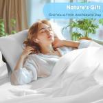 SONORO KATE 100% Egyptian Cotton Sheets Set, Extra Deep Pocket up to 18"-24",1000 High Thread Count, Soft & Breathable 5-Star Hotel Sateen Bed Sheets - 4 PC (White,King)