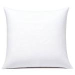 JIEITIVE Throw Pillow Inserts Hypoallergenic Premium Pillow Stuffer Square Form for Decorative Pillow Covers Cushion Set of 1-18 x 18 Inches