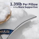 MIULEE 18x18 Pillow Inserts Set of 2 Throw Pillows 18 Inch Premium Down Alternative Pillow Inserts Decorative Pillow Stuffer for Sofa, Couch (18x18 inch, Set of 2)