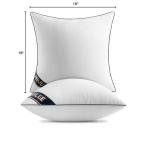 MIULEE 18x18 Pillow Inserts Set of 2 Throw Pillows 18 Inch Premium Down Alternative Pillow Inserts Decorative Pillow Stuffer for Sofa, Couch (18x18 inch, Set of 2)