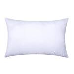MIULEE Throw Pillow Insert Premium Pillow Stuffer Sham Rectangle Form for Decorative Cushion Bed Couch Sofa 12x16 Inch