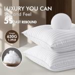 MIULEE 18x18 Pillow Inserts, Firm and Fluffy Decorative Square Throw Pillows for Couch Sofa Bed, Down Alternative with 100% Cotton Cover Pack of 2