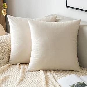 EMEMA Pack of 2 Velvet Throw Pillow Covers Decorative Square Pillowcase Soft Solid Cushion Case for Sofa Bedroom Chair Car 18x18 Inch Cream White