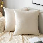 EMEMA Pack of 2 Velvet Throw Pillow Covers Decorative Square Pillowcase Soft Solid Cushion Case for Sofa Bedroom Chair Car 18x18 Inch Cream White