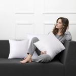 MIULEE Throw Pillow Insert Premium Pillow Stuffer Sham Rectangle Form for Decorative Cushion Bed Couch Sofa 12x16 Inch