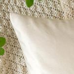 EMEMA Pack of 2 Velvet Throw Pillow Covers Decorative Square Pillowcase Soft Solid Cushion Case for Sofa Bedroom Chair Car 18x18 Inch Cream White
