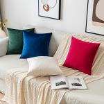 EMEMA Pack of 2 Velvet Throw Pillow Covers Decorative Square Pillowcase Soft Solid Cushion Case for Sofa Bedroom Chair Car 18x18 Inch Cream White