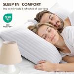 MIULEE 18x18 Pillow Inserts, Firm and Fluffy Decorative Square Throw Pillows for Couch Sofa Bed, Down Alternative with 100% Cotton Cover Pack of 2