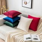 EMEMA Pack of 2 Velvet Throw Pillow Covers Decorative Square Pillowcase Soft Solid Cushion Case for Sofa Bedroom Chair Car 18x18 Inch Cream White