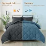 HYLEORY Queen Comforter Set with 2 Pillow Shams - Grey Fluffy Down Alternative Bedding Comforter Sets, Lightweight Luxury Soft Cooling Bed Sets for All Season