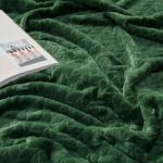 Inhand Fleece Throw Blankets, Super Soft Flannel Cozy Blankets for Adults, Washable Lightweight Blanket for Couch Sofa Bed Office, Warm Plush Blankets for All Season (50"×60", Green)