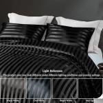 Whale Flotilla 3-Piece Reversible Silky Soft Queen Comforter Set, Luxury Stripe Satin Comforters Full Size Bedding Set with 2 Satin Pillowcases, Lightweight Duvet for All Seasons, Black