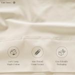 LANE LINEN Bed Sheets Queen Size – Premium 600 Thread Count Long-Staple 100% Cotton Sheets Queen Size Set, Hotel Luxury Soft & Cool Sateen Finish, Fully Elasticized 15" Deep Pocket – Ivory
