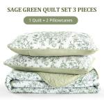 WONGS BDEEING Quilt Queen Size, Sage Green Quilt Bedding Set with 2 Pillowcases, Botanical Quilt for Queen Bed, Soft Microfiber Lightweight Coverlet Bedspread for All Season (96"×90", 3 Pieces)