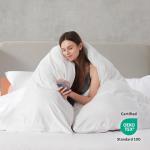 Hearth & Harbor Queen Duvet Cover Set - Queen Soft Prewashed White Duvet Cover, 3 Piece Set with Zipper Closure, 1 Duvet Cover 90x90 inches and 2 Pillow Shams