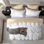 Hearth & Harbor Queen Duvet Cover Set - Queen Soft Prewashed White Duvet Cover, 3 Piece Set with Zipper Closure, 1 Duvet Cover 90x90 inches and 2 Pillow Shams