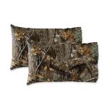 Northwest Realtree King Bed in a Bag Set, 1 Comforter, 1 Fitted Sheet, 1 Flat Sheet, 2 Pillowcases, All Seasons, Camo Bedding with Realtree Edge Design