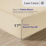 LANE LINEN 100% Egyptian Cotton Queen Sheet Set, Soft & Comfy Hotel Like Thick Fully Elasticized Mercerized Long Staple Cotton Sheet Queen Size Set, No Pill Fade Resistant Queen Sheets- Ivory