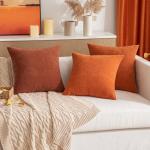 MIULEE Burnt Orange Couch Pillow Covers 18x18 Inch, Set of 2 Soft Chenille Fall Decorative Square Throw Pillow Covers Farmhouse for Sofa Living Room Bed