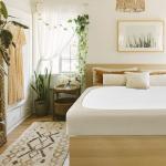 Biscaynebay Decorative Box Spring Cover Queen Size, Light Camel Luxurious Jersey Knitting Stretchy Wrap Around 4 Sides Bed Skirt for Home/Hotels, Easy Fit Wrinkle & Fade Free Machine Washable