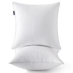 MIULEE 20 x 20 Pillow Inserts (Set of 2) -Throw Pillows for Couch Sofa with 100% Cotton Covers