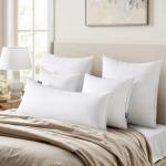 MIULEE 20 x 20 Pillow Inserts (Set of 2) -Throw Pillows for Couch Sofa with 100% Cotton Covers