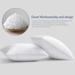 MIULEE 20 x 20 Pillow Inserts (Set of 2) -Throw Pillows for Couch Sofa with 100% Cotton Covers