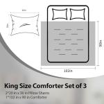 Cosmoluxe King Size Comforter Set, Satin Comforter Sets for All Season, 3 Pieces Reversible Lightweight and Breathable Bedding Sets with 1 Silky Comforter and 2 Pillow Shams (Black)