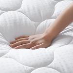 LEISURE TOWN Queen Mattress Pad Fitted Quilted Cotton Mattress Cover Cooling Soft Pillow Top Mattress Topper with Down Alternative Filling Mattress Protector with 8-21 Deep Pocket (60x80 White)