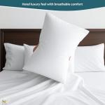 Queen Size Sheet Set, 6 Piece Set, Extra, Deep Pockets, 100% Egyptian Cotton White Solid Bed Sheets, Queens Sheets, 6 PC