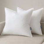 MIULEE 20x20 Throw Pillow Inserts,Set of 2 Decorative Pillow Inserts with Soft Cotton Cover,Fluffy and Cozy Indoor Square Sofa Couch Pillow Inserts White