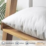 Phantoscope Premium Outdoor Pillow Inserts - Pack of 2 Square Form Water Resistant Polyester Throw Pillows, Couch Sham Cushion Stuffer, 18 X 18 inches