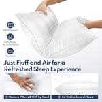 DIORIS Pillows Queen Size Set of 2 - Luxury Hotel Collection Bed Pillows for Sleeping, Supportive Side Sleeper Pillow, Fluffy Down Alternative Microfiber Filled for Back, Stomach Sleepers