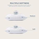 Bedsure Pillows Queen Size Set of 2 - Soft Bed Pillows for Sleeping 2 Pack, Fluffy and Supportive, Hotel Quality, Original Down Alternative Filling for Side, Back Sleepers