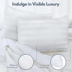 DIORIS Pillows Queen Size Set of 2 - Luxury Hotel Collection Bed Pillows for Sleeping, Supportive Side Sleeper Pillow, Fluffy Down Alternative Microfiber Filled for Back, Stomach Sleepers