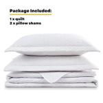 Maple&Stone White Quilt Set Queen Size, Lightweight Bedspread Ultrasonic Chevron Pattern Light Coverlet for All Season Comforter Bedding Decor - 3 Piece Full Bed Cover Sets