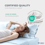 THREAD SPREAD 100% Egyptian Cotton Sheets Queen Size - 1500 Thread Count 4 PC Queen Sheet Set Egyptian Cotton, Sateen Luxury Sheets Queen Size, High Thread Count Sheets, 17" Deep Pocket - Light Blue