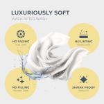 THREAD SPREAD 100% Egyptian Cotton Sheets Queen Size - 1500 Thread Count 4 PC Queen Sheet Set Egyptian Cotton, Sateen Luxury Sheets Queen Size, High Thread Count Sheets, 17" Deep Pocket - Light Blue