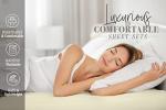 Elegant Comfort 4-Piece Smart Sheet Set - Luxury Soft 1500 Thread Count Egyptian Quality Microfiber, Wrinkle Resistant with Side Storage Pockets on Fitted Sheet, King, Grey