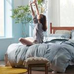 Bedsure Duvet Cover Queen Size - Gingham Reversible Buffalo Plaid Duvet Cover Set with Zipper Closure, 3 Pieces Blue Bedding Set with 8 Corner Ties and 2 Pillow Shams 20"x26"
