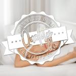 Elegant Comfort 1500 Thread Count Wrinkle & Fade Resistant Egyptian Quality 4-Piece Ultra Soft Luxurious Bed Set Includes Flat, Fitted Sheet and 2 Pillowcases, Full, Classic Silver